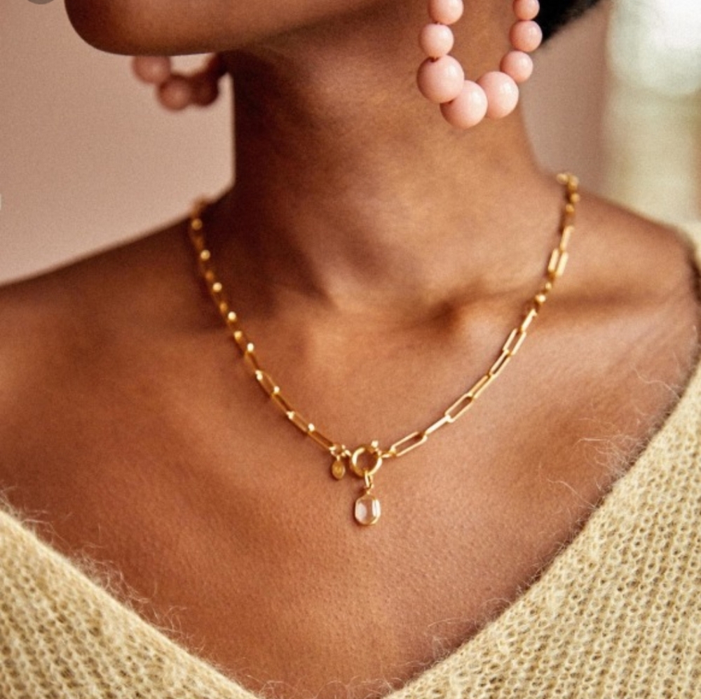 Irma link chain necklace NWOT